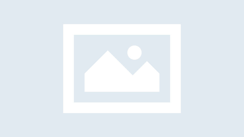 Nouveau comité directeur du SNPI